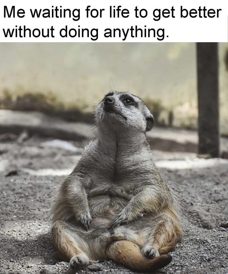 Me waiting for life to get better without doing anything. @We Are Nature