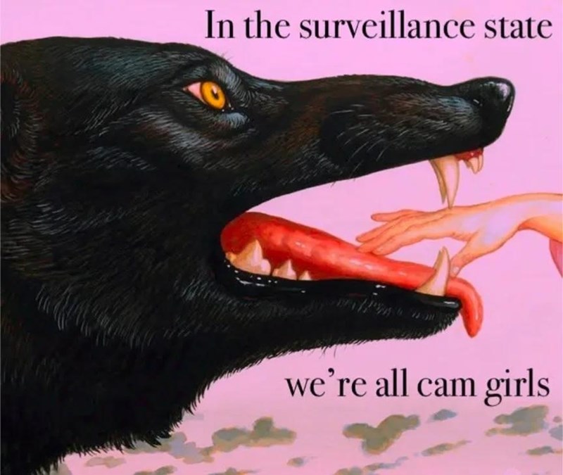 In the surveillance state we're all cam girls