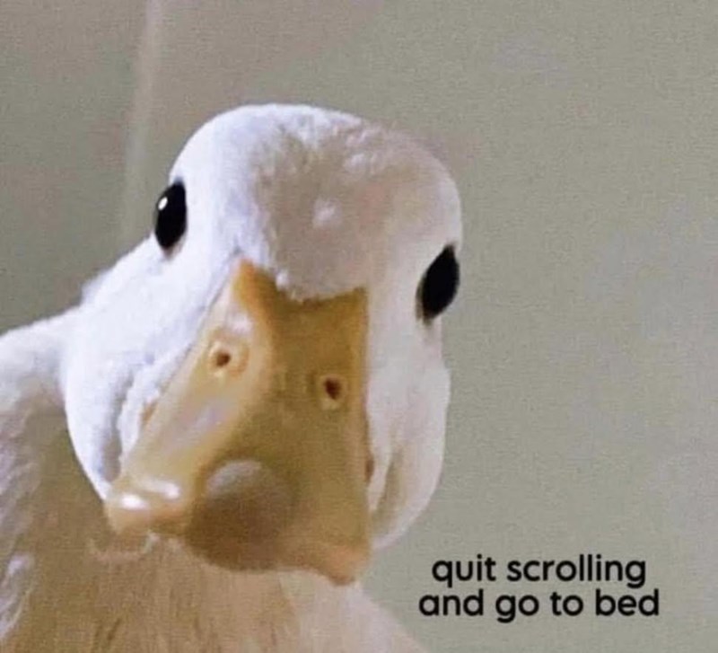 quit scrolling and go to bed