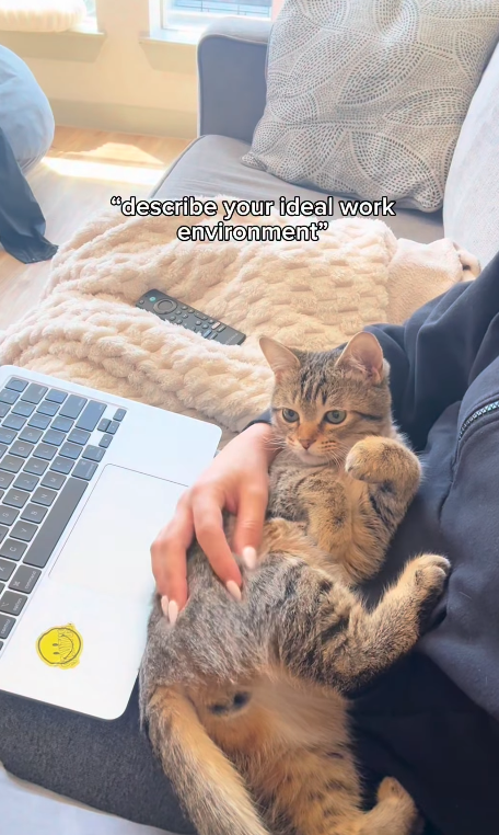 "describe your ideal work environment" OBER
