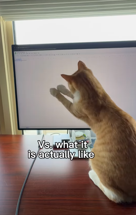 Vs. what it is actually like
