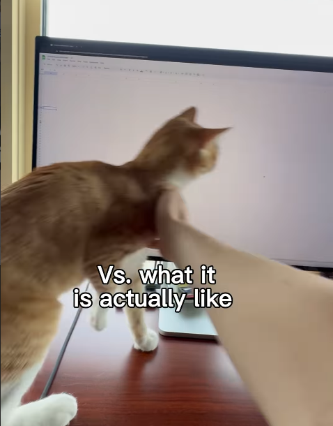 Vs. what it is actually like