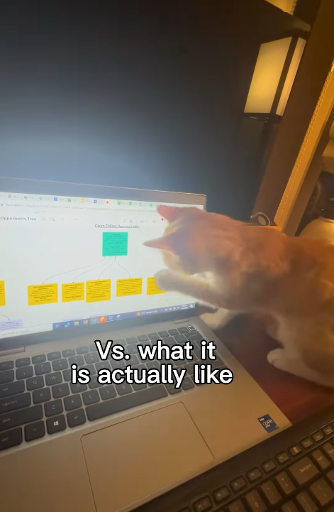 Opportunity Tree Care Fol Y 7 Q A Z W S Vs. what it is actually like C