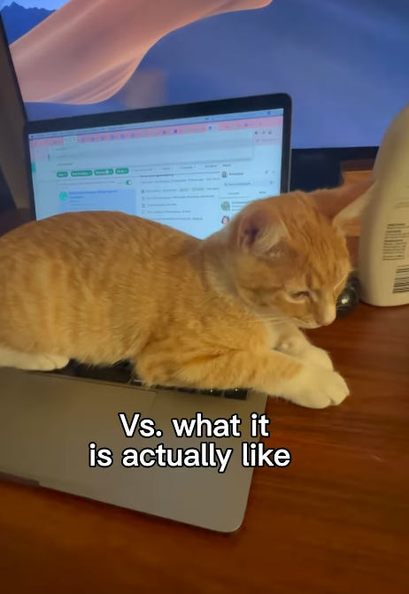 Vs. what it is actually like