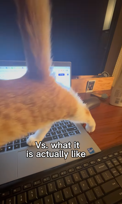 14 Vs. what it is actually like Cone PS P 16 O 5 A 6 4T 7 Y U 8 61 3 O 10 P Sachspace Da Enter