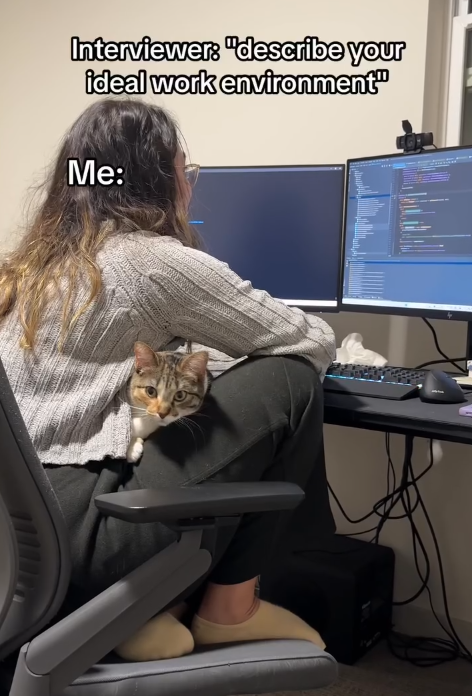 Interviewer: "describe your ideal work environment" Me: