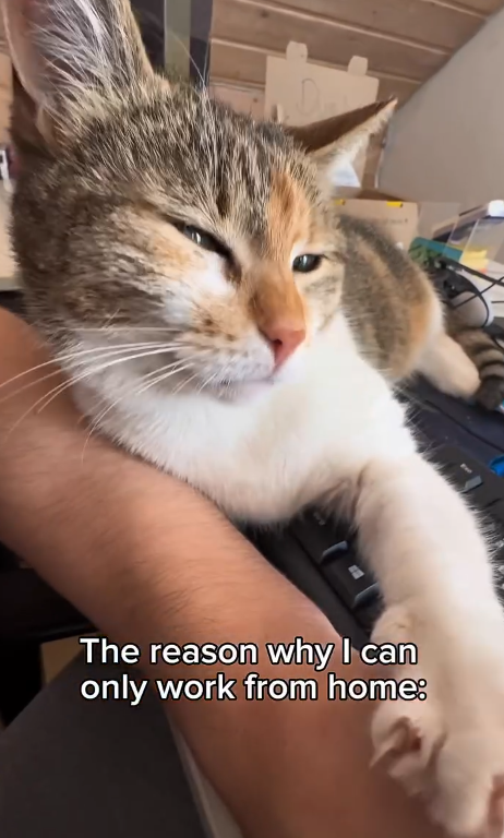 The reason why I can only work from home: