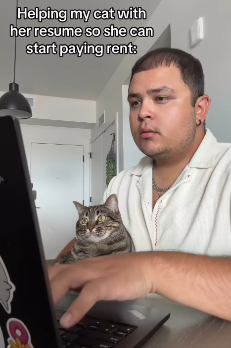 Helping my cat with her resume so she can start paying rent: Ca