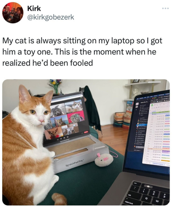 Kirk @kirkgobezerk My cat is always sitting on my laptop so I got him a toy one. This is the moment when he realized he'd been fooled ScratchPad Pra caps lock Q