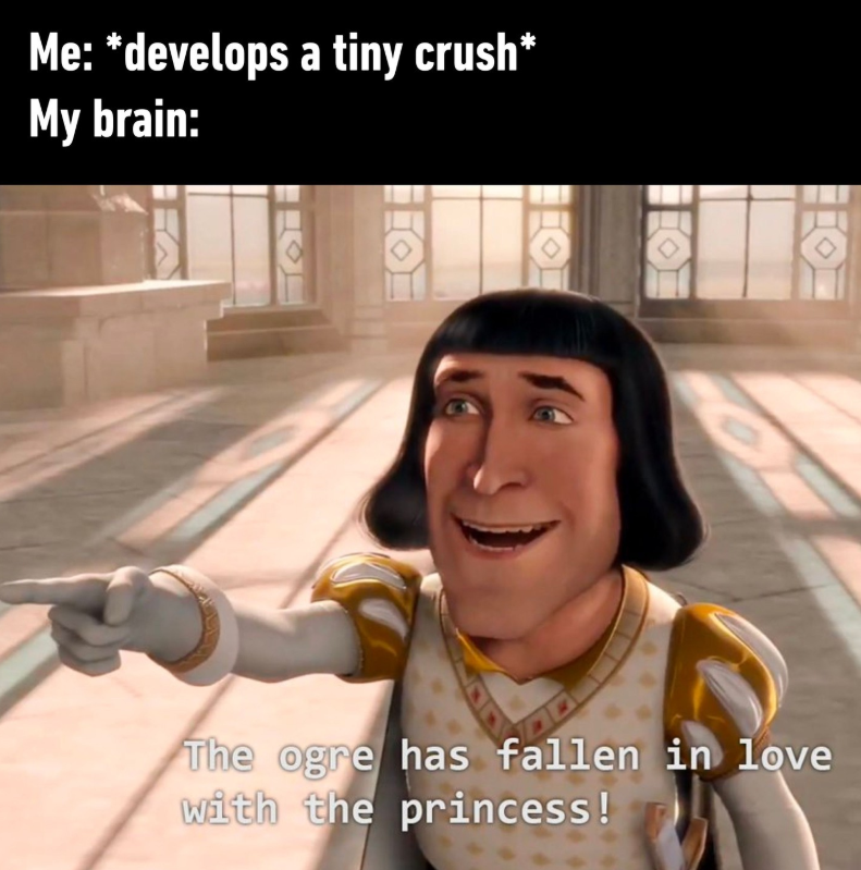 Me: *develops a tiny crush* My brain: The ogre has fallen in love with the princess!