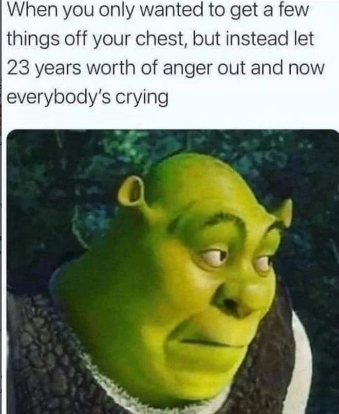 When you only wanted to get a few things off your chest, but instead let 23 years worth of anger out and now everybody's crying