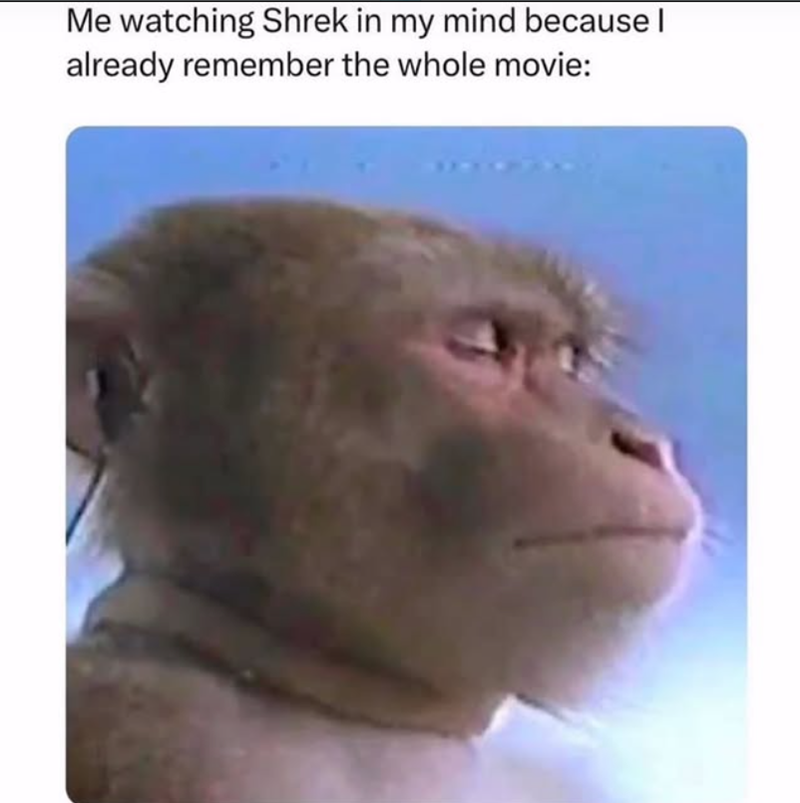 Me watching Shrek in my mind because I already remember the whole movie: