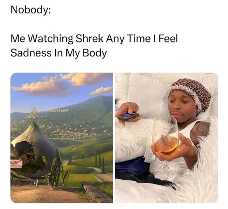 Nobody: Me Watching Shrek Any Time I Feel Sadness In My Body UST ARRIED FAR FAR AWAY 83
