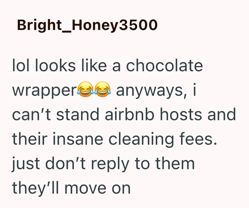 Bright_Honey3500 lol looks like a chocolate wrappers anyways, i can't stand airbnb hosts and their insane cleaning fees. just don't reply to them they'll move on