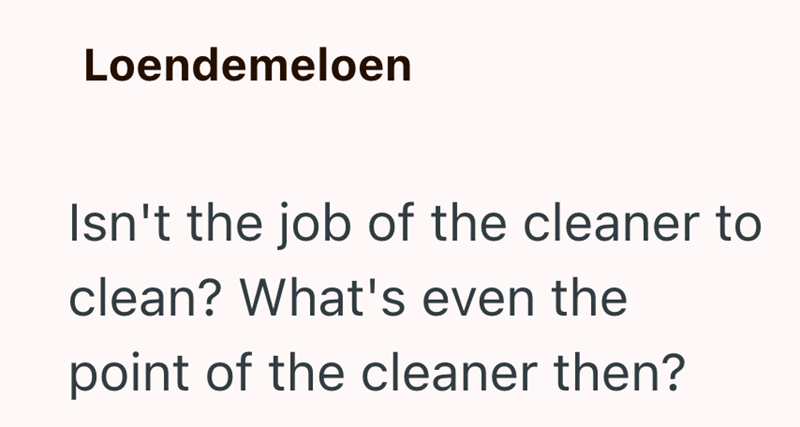 Loendemeloen Isn't the job of the cleaner to clean? What's even the point of the cleaner then?