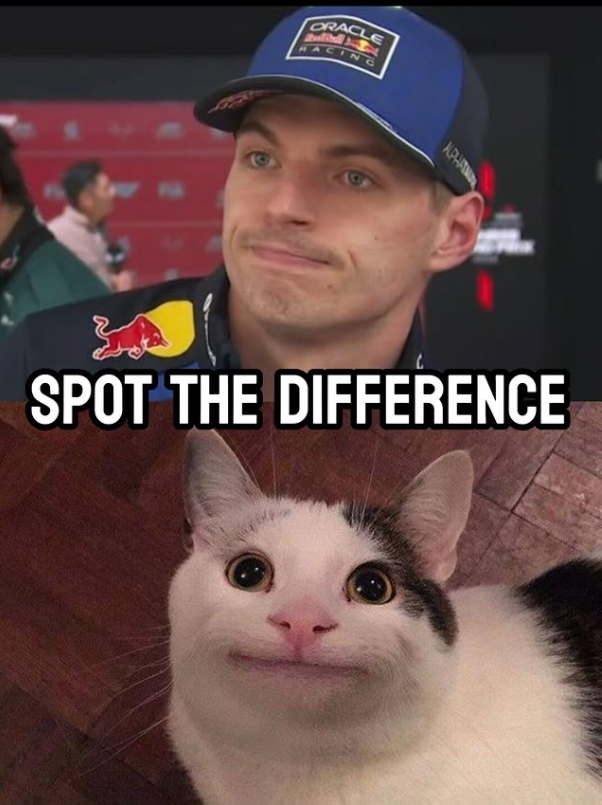 ORACLE HACING ALPHATM SPOT THE DIFFERENCE