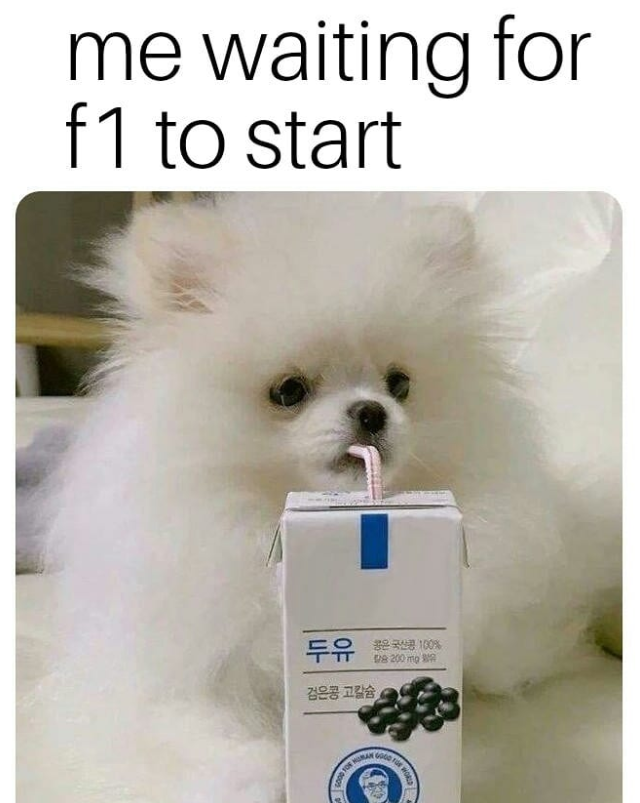 me waiting for f 1 to start 두유 좋은 국산품 100% 검은콩 고칼슘 8 200 mp GOOD FOR 0000