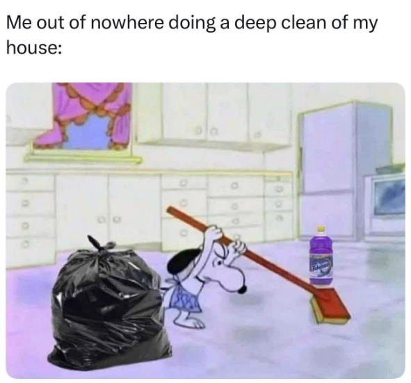 Me out of nowhere doing a deep clean of my house: 0