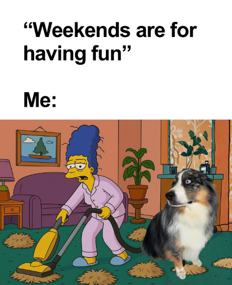 o "Weekends are for having fun" Me: