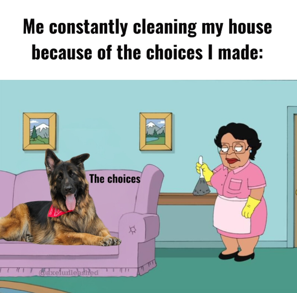 Me constantly cleaning my house because of the choices I made: The choices @axefunleashed