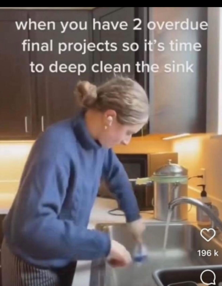 when you have 2 overdue final projects so it's time to deep clean the sink 196 k