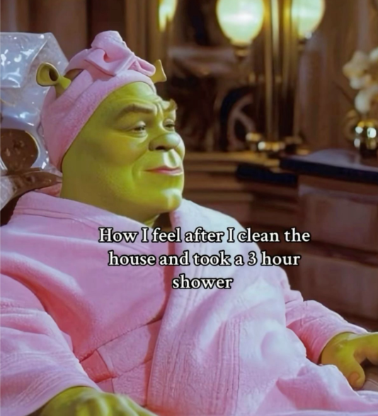 How I feel after I clean the house and took a 3 hour shower