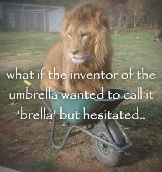 what if the inventor of the umbrella wanted to call it brella' but hesitated..
