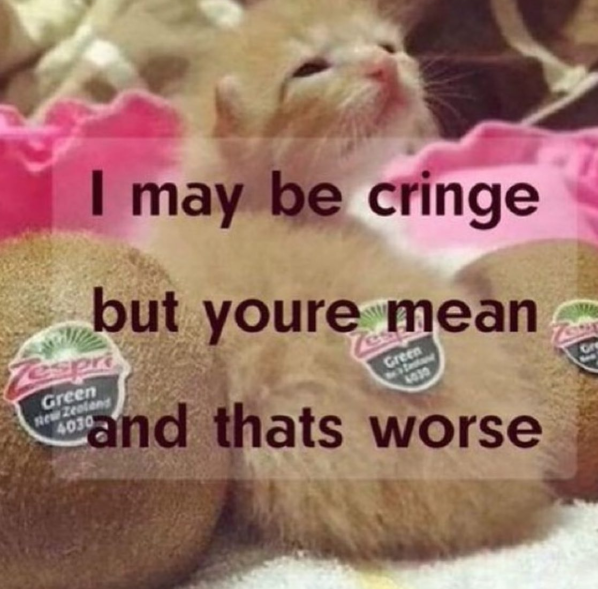 I may be cringe but youre mean Zespri Green New Zealand Green 4030 and thats worse