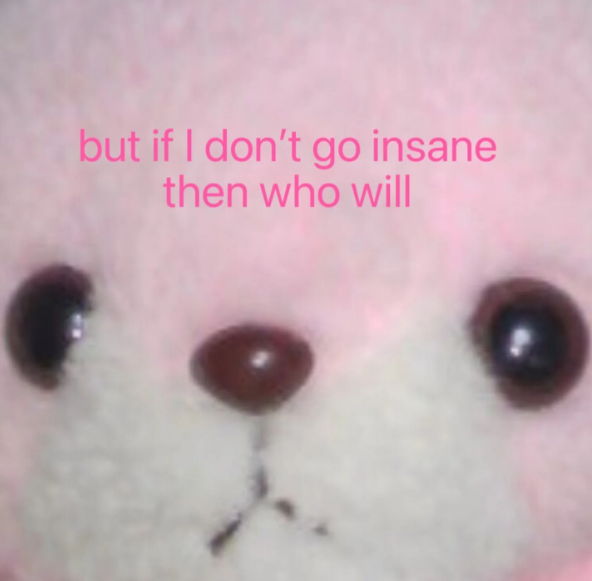 but if I don't go insane then who will