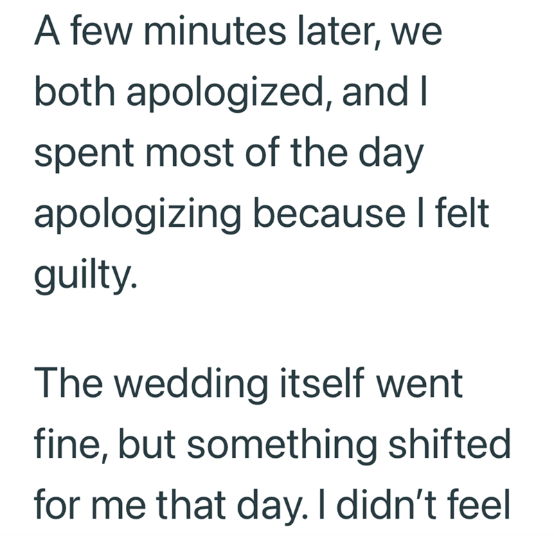 A few minutes later, we both apologized, and I spent most of the day apologizing because I felt guilty. The wedding itself went fine, but something shifted for me that day. I didn't feel