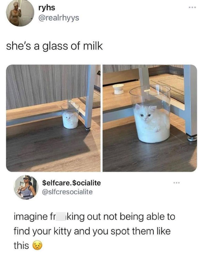 ryhs @realrhyys she's a glass of milk $elfcare. $ocialite @slfcresocialite imagine frking out not being able to find your kitty and you spot them like this