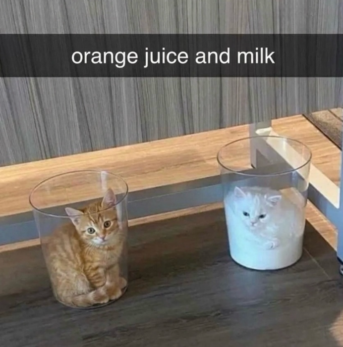 orange juice and milk