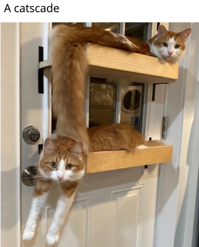 A catscade
