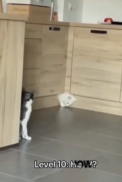 Level 10: HOW?