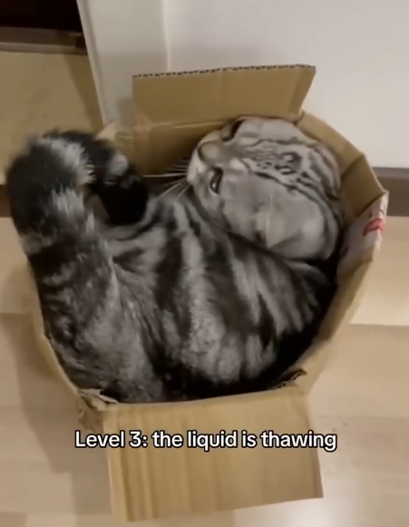 Level 3: the liquid is thawing