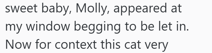 sweet baby, Molly, appeared at my window begging to be let in. Now for context this cat very