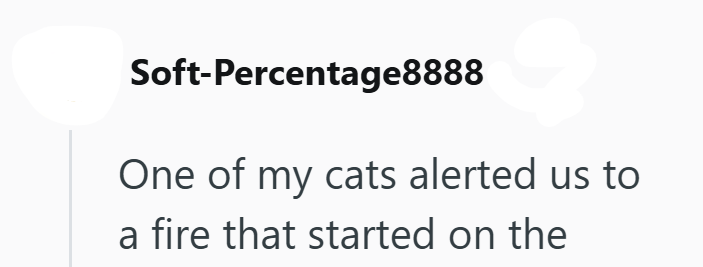 Soft-Percentage8888 One of my cats alerted us to a fire that started on the