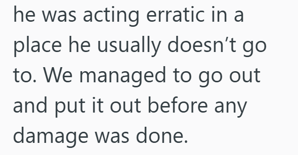 he was acting erratic in a place he usually doesn't go to. We managed to go out and put it out before any damage was done.