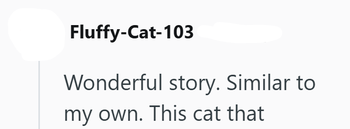 Fluffy-Cat-103 Wonderful story. Similar to my own. This cat that