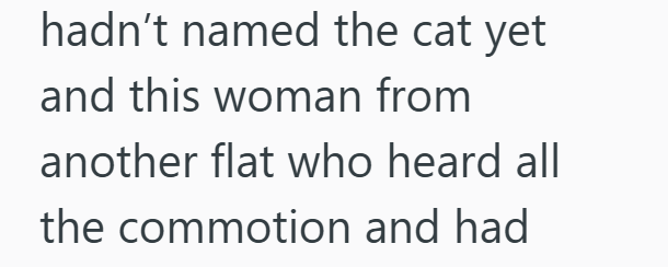 hadn't named the cat yet and this woman from another flat who heard all the commotion and had