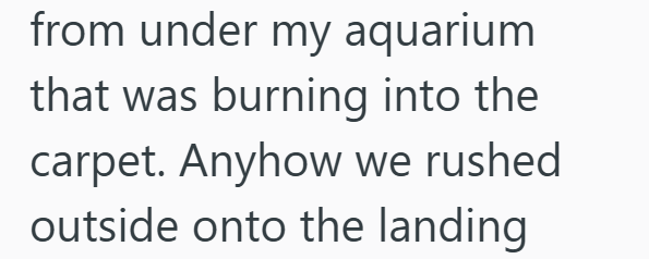 from under my aquarium that was burning into the carpet. Anyhow we rushed outside onto the landing