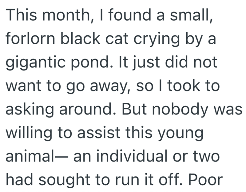 This month, I found a small, forlorn black cat crying by a gigantic pond. It just did not want to go away, so I took to asking around. But nobody was willing to assist this young animal- an individual or two had sought to run it off. Poor