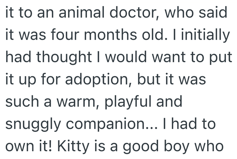 it to an animal doctor, who said was four months old. I initially had thought I would want to put it up for adoption, but it was such a warm, playful and snuggly companion... I had to own it! Kitty is a good boy who