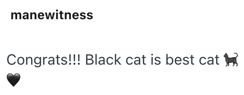 manewitness Congrats!!! Black cat is best cat ✓)