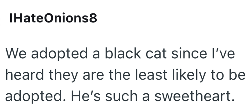 IHateOnions8 We adopted a black cat since I've heard they are the least likely to be adopted. He's such a sweetheart.