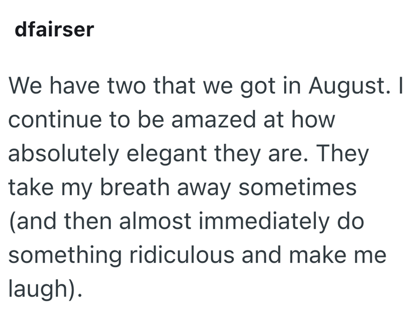 dfairser We have two that we got in August. I continue to be amazed at how absolutely elegant they are. They take my breath away sometimes (and then almost immediately do something ridiculous and make me laugh).