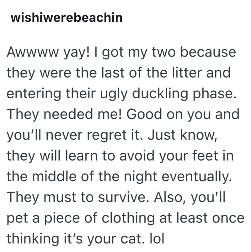wishiwerebeachin Awwww yay! I got my two because they were the last of the litter and entering their ugly duckling phase. They needed me! Good on you and you'll never regret it. Just know, they will learn to avoid your feet in the middle of the night eventually. They must to survive. Also, you'll pet a piece of clothing at least once thinking it's your cat. lol