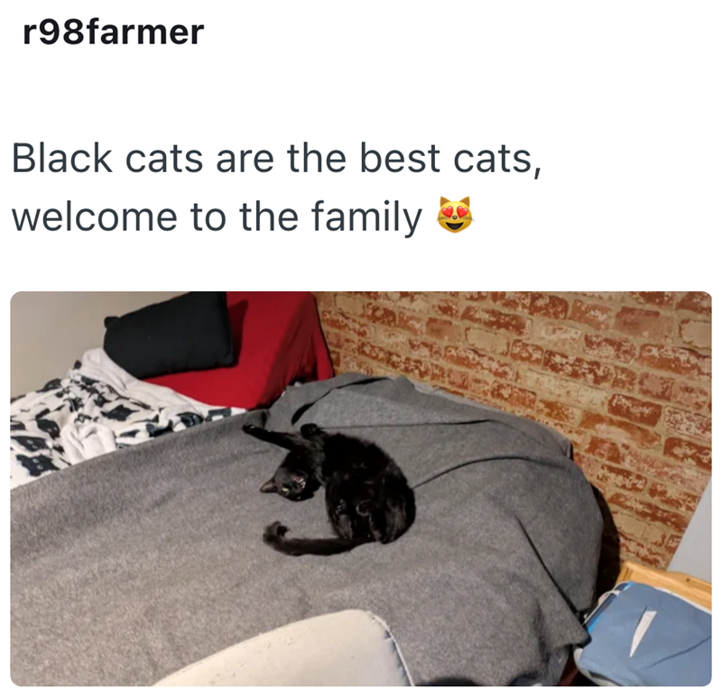 r98farmer Black cats are the best cats, welcome to the family