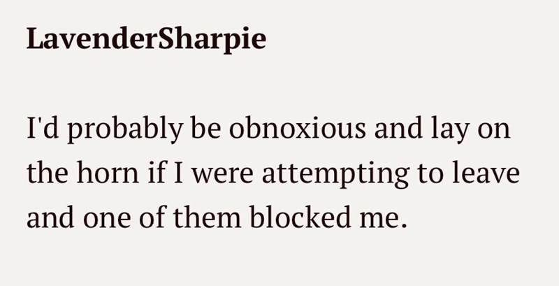 LavenderSharpie I'd probably be obnoxious and lay on the horn if I were attempting to leave and one of them blocked me.