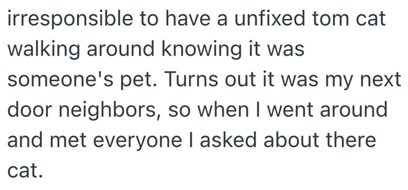 irresponsible to have a unfixed tom cat walking around knowing it was someone's pet. Turns out it was my next door neighbors, so when I went around and met everyone I asked about there cat.